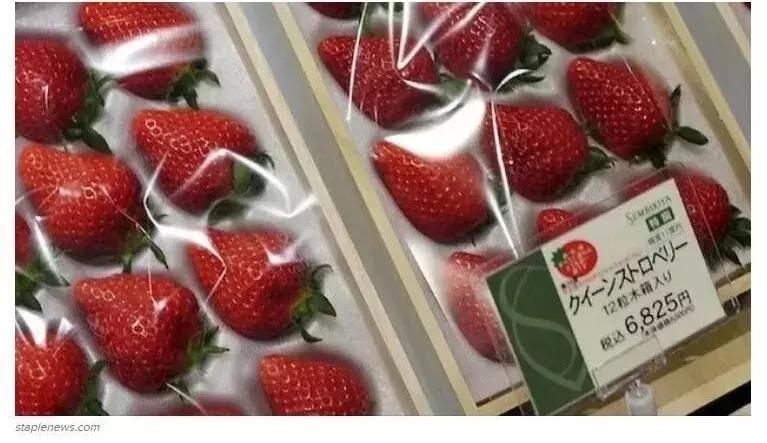 50元一颗的高端葡萄有什么特别,300元一斤的葡萄你觉得贵吗