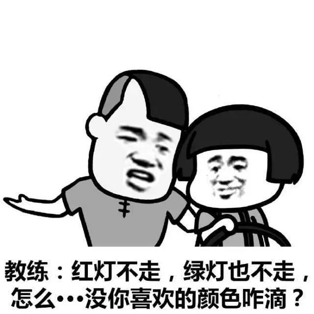 2019拿到驾驶证,2019拿到了驾照