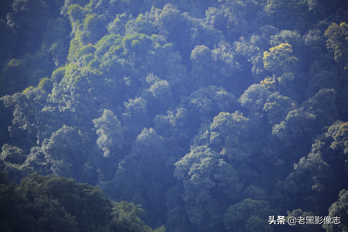 无量山镇游玩攻略一日游,无量山旅游攻略一日游多少钱