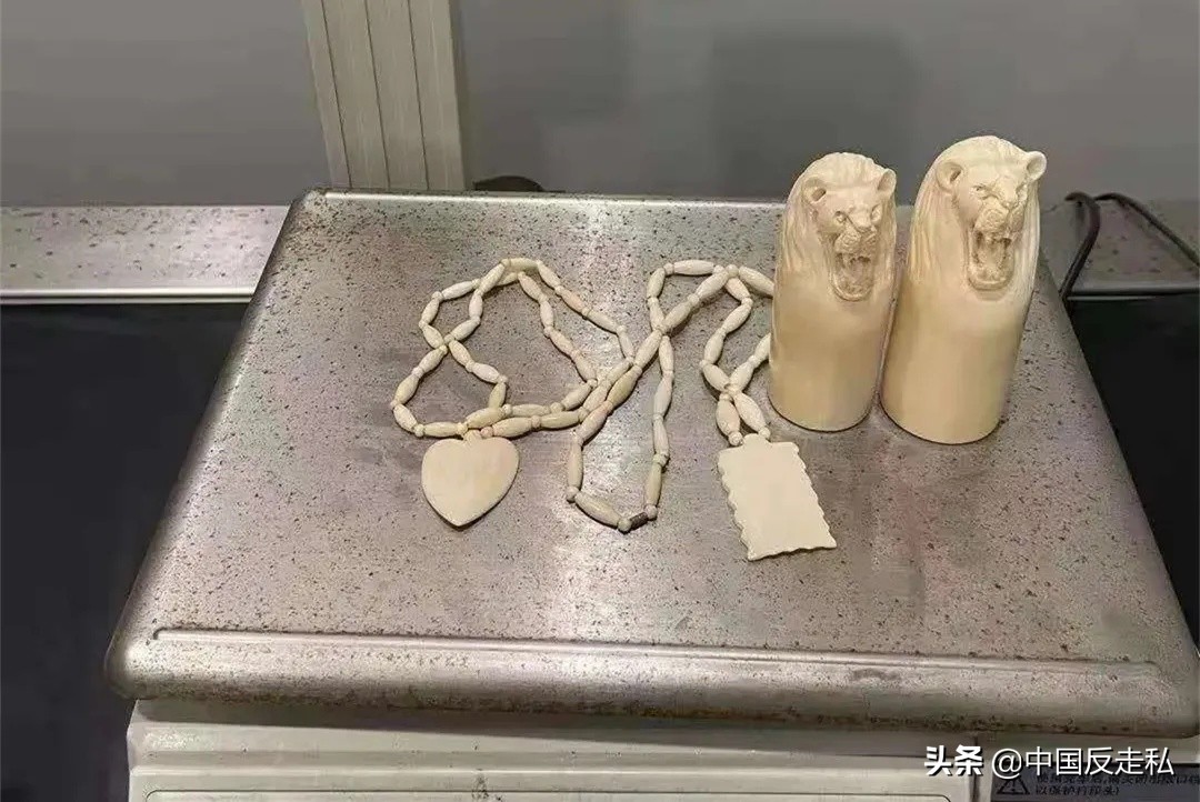 国门利剑缉私案件,市场监管局国门利剑2023行动方案