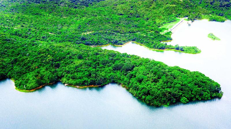 深圳隐藏着一个世外花海公园,深圳茶园