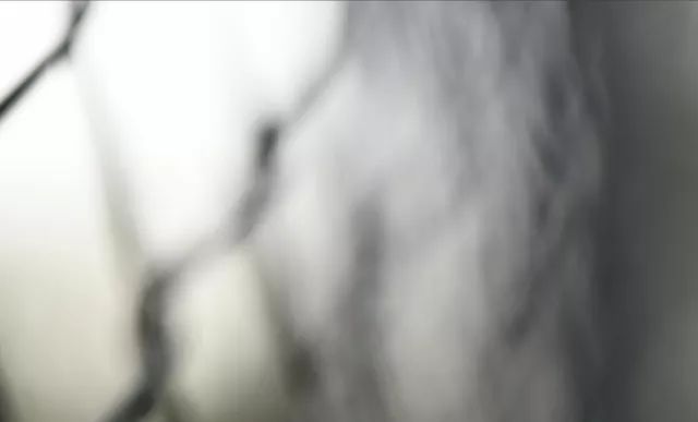 尼康z50最大光圈,尼康z501.8深度评测