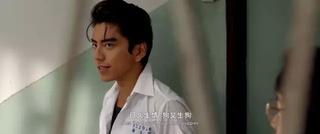 王大陆帅不帅,王大陆嘴大还是很帅