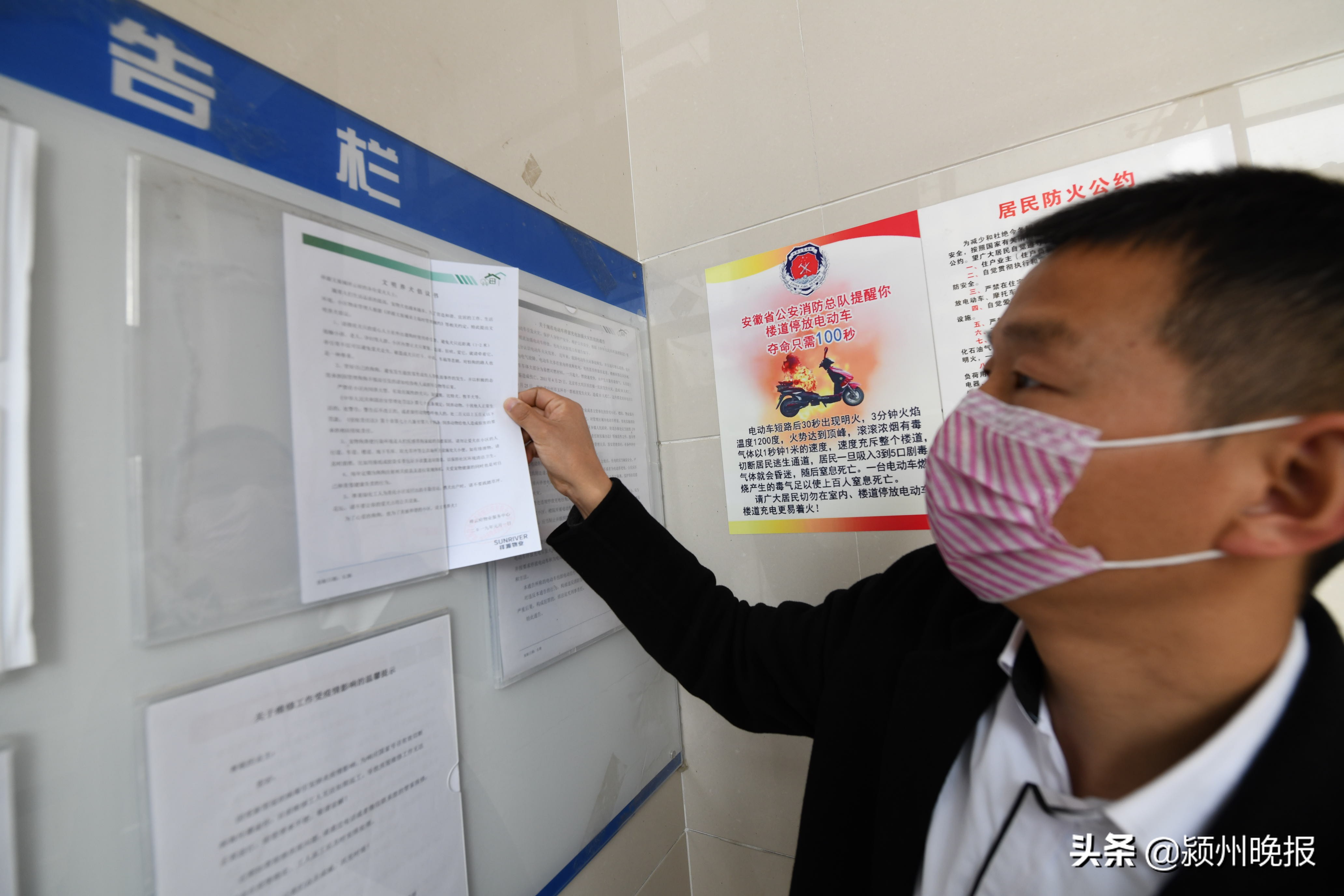 阜阳禁养烈性犬品种名录,阜阳禁止养犬的地方