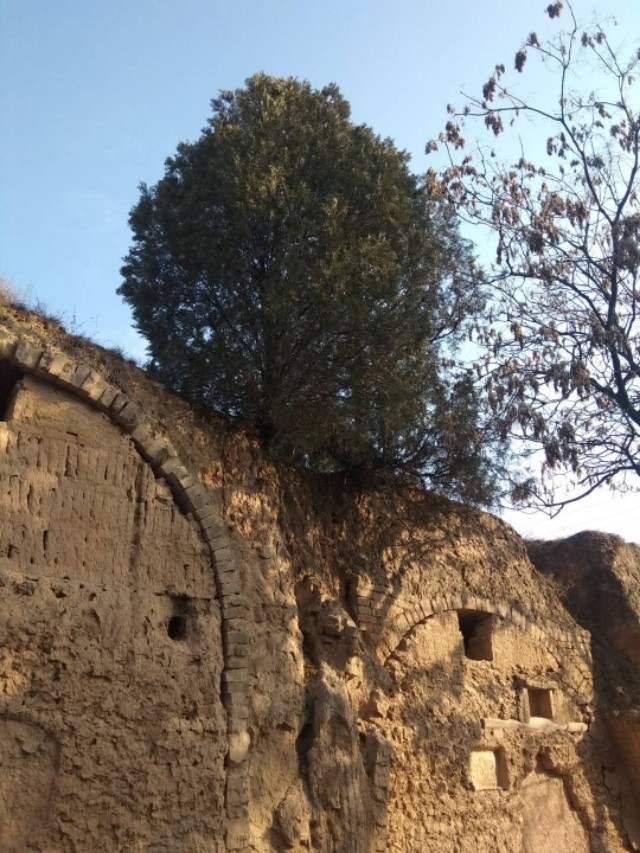 窑背上铺什么,窑背用什么材质盖好