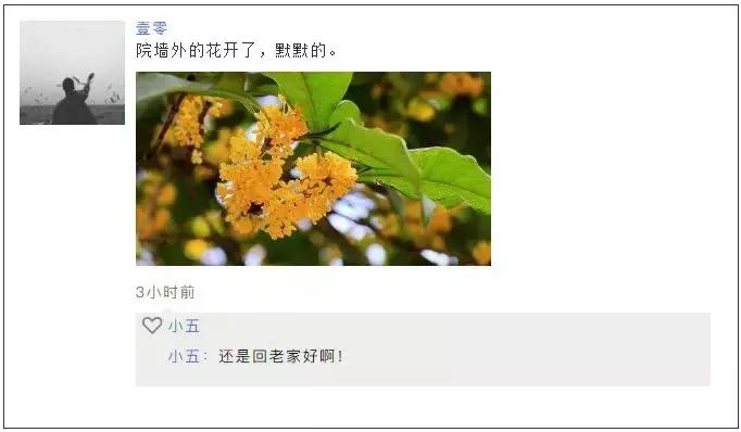 假期宅家旅游,假期宅家和出去旅游