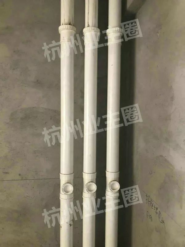 绿都什么意思,绿都包括哪些绿