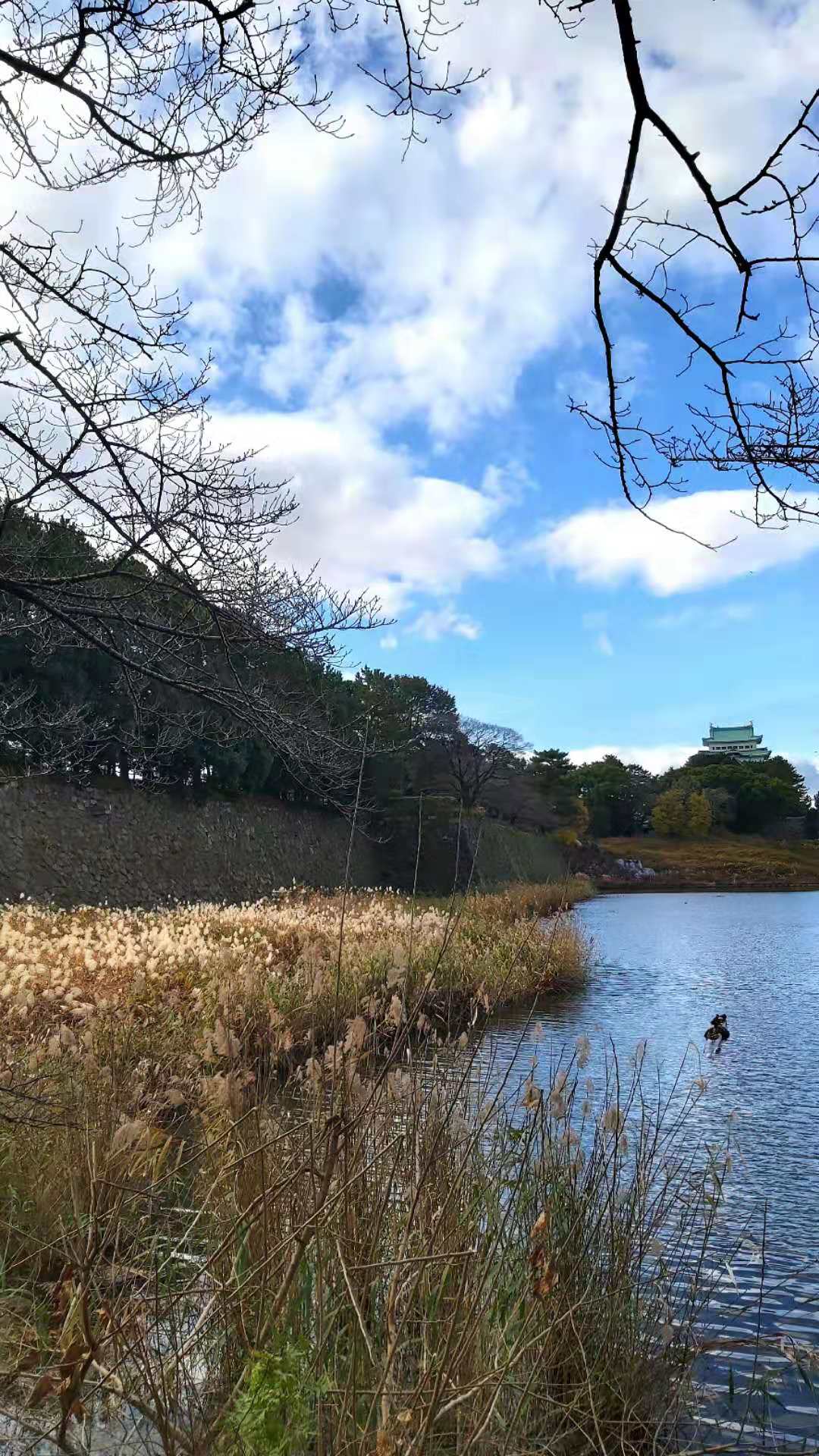 名古屋乐高乐园门票,日本名古屋乐高主题乐园