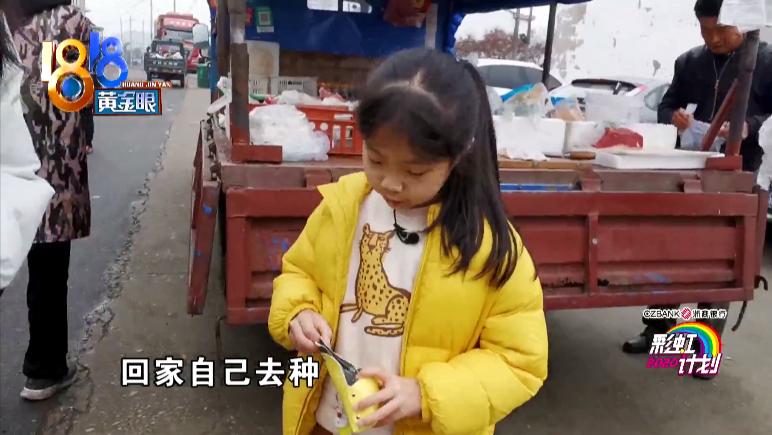 算钱“小迷糊”泥泥的进山体验记​#2020彩虹计划#