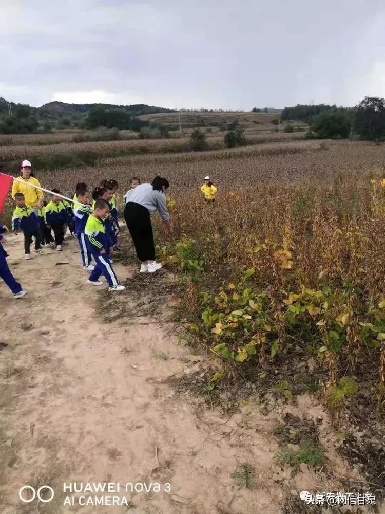 金太阳幼儿园校门,延安市甘泉谢金庄幼儿园