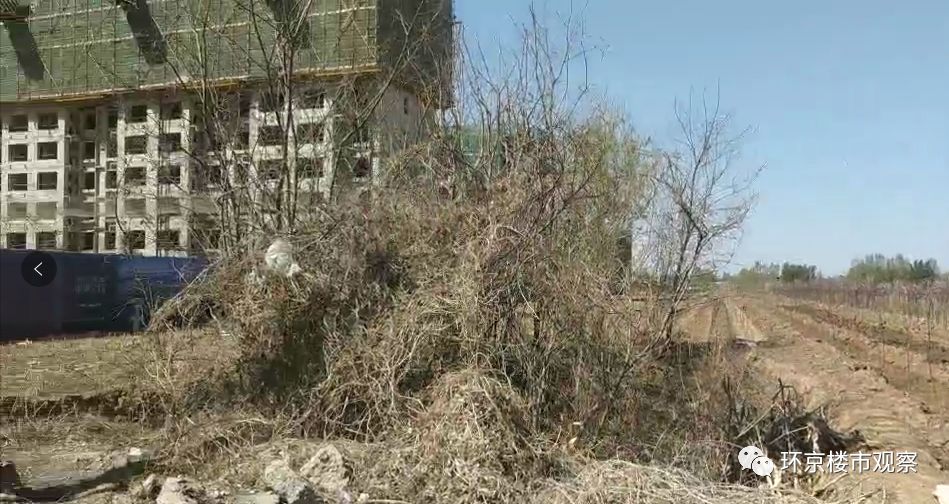 环京楼市2024,环京楼市观察燕郊