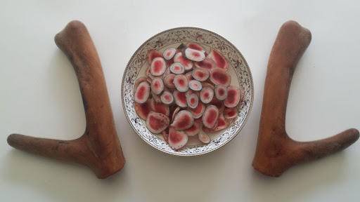 梅花鹿的鹿茸砍掉会死吗,鹿茸割了梅花鹿会受影响吗