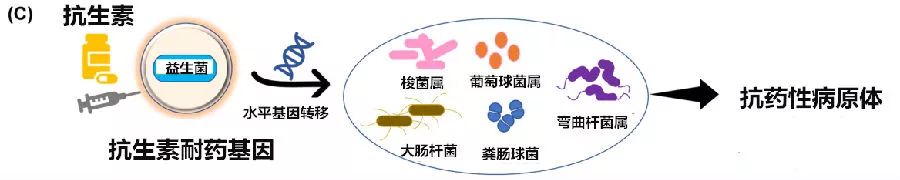 益生菌的现状分析,警惕益生菌带来的不良后果