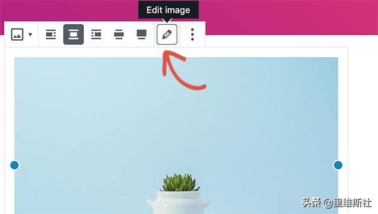 wordpress网站结构优化,wordpress网站能做到多漂亮