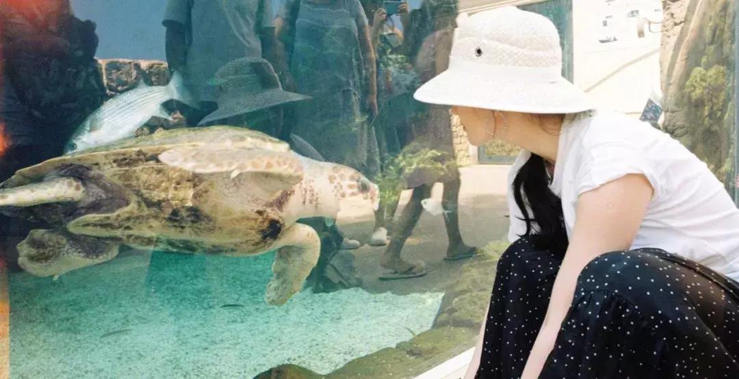 刘亦菲晒出游美照超迷人,32岁刘亦菲久违晒出最新美照