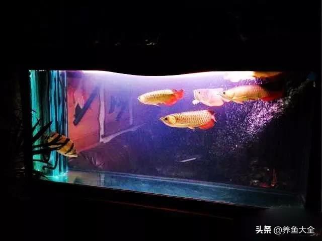 我要离婚老婆不同意,我要离婚老婆也要离婚