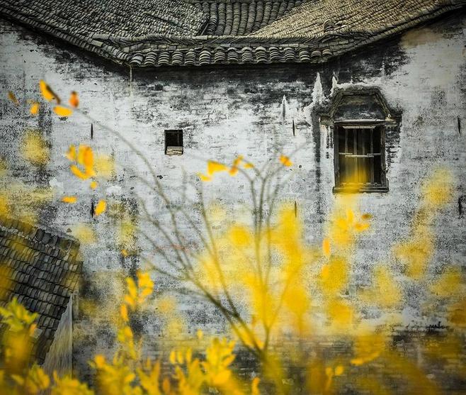 想等一个人一辈子的句子,2019最后一天希望你能陪我一起过