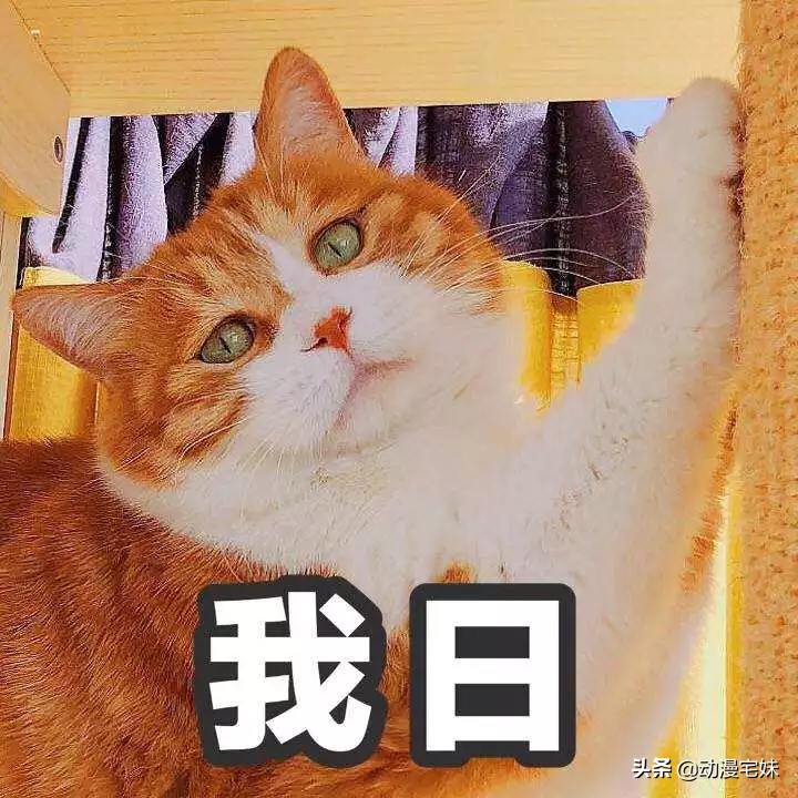 假期在家被爸妈骂了怎么办,满口脏话的父母很反感怎么办