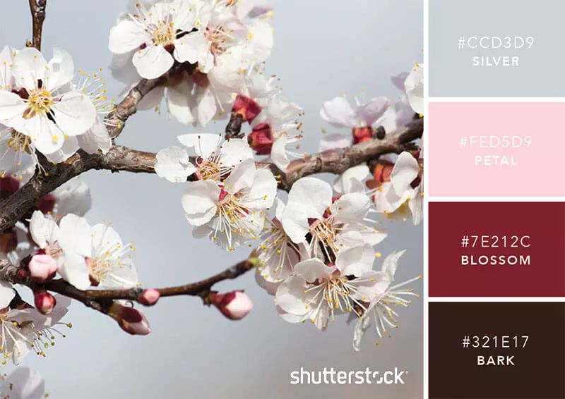 色彩搭配个人形象设计,色彩搭配都是业主亲自选择