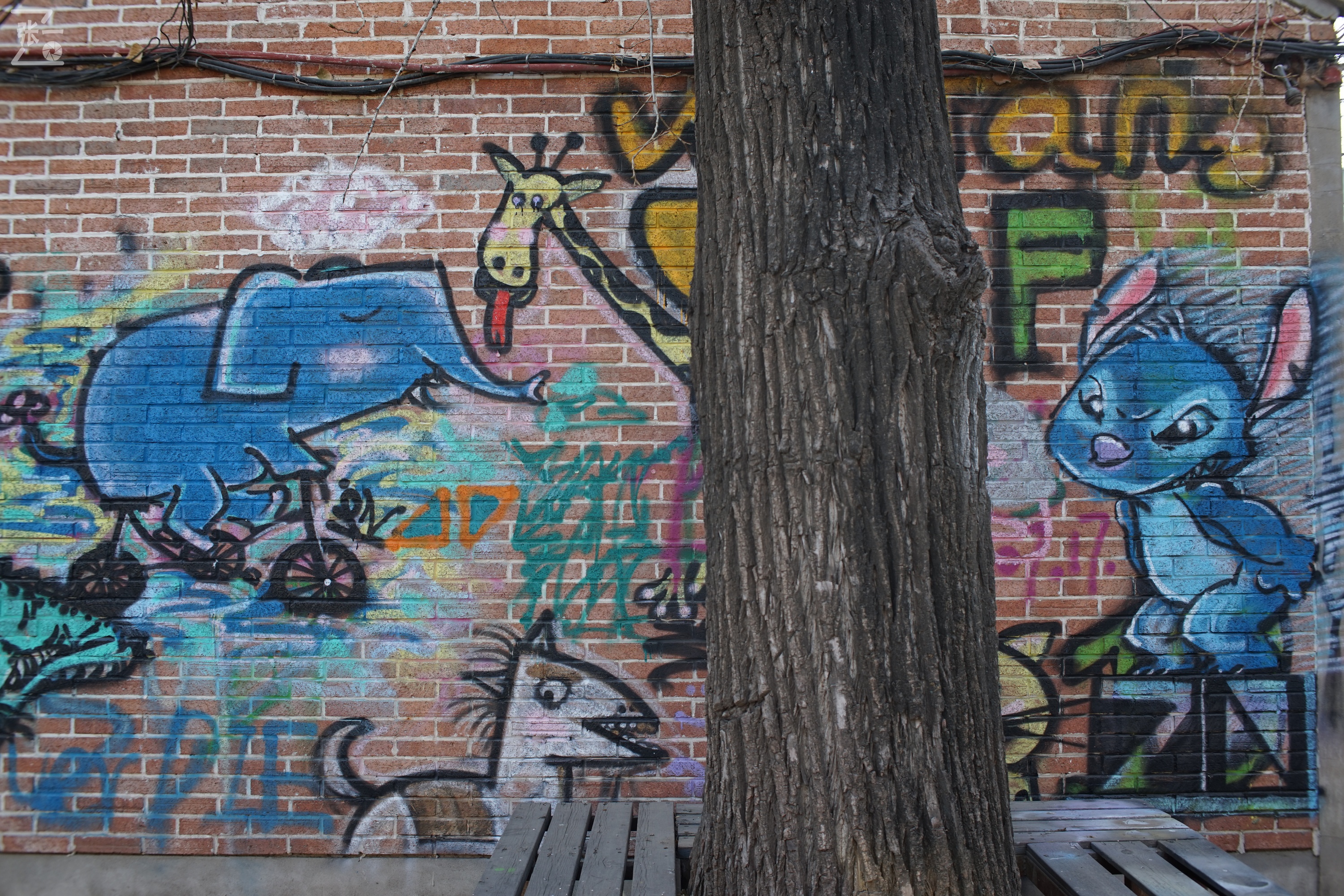 国产中一光学35/2镜头+索尼微单实拍北京798艺术区