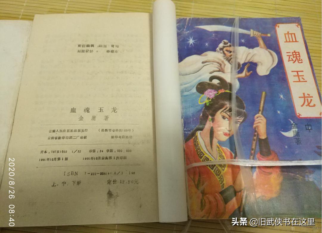 金庸十大反派武侠小说,金庸武侠血魂玉龙