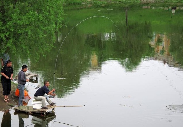 初学钓鱼入门攻略,初学者钓鱼入门基础知识