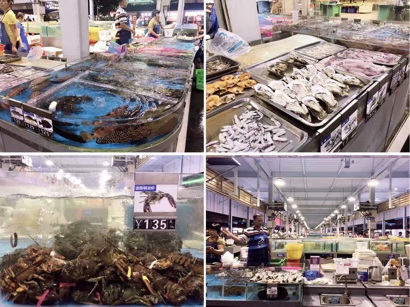 一个人在海边玩一天,一个人在海边怎么玩