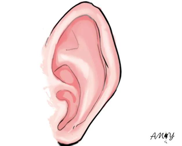 这六种人不能打耳洞,千万别随便打耳洞