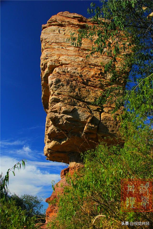 大可老师合集,大可老师讲座