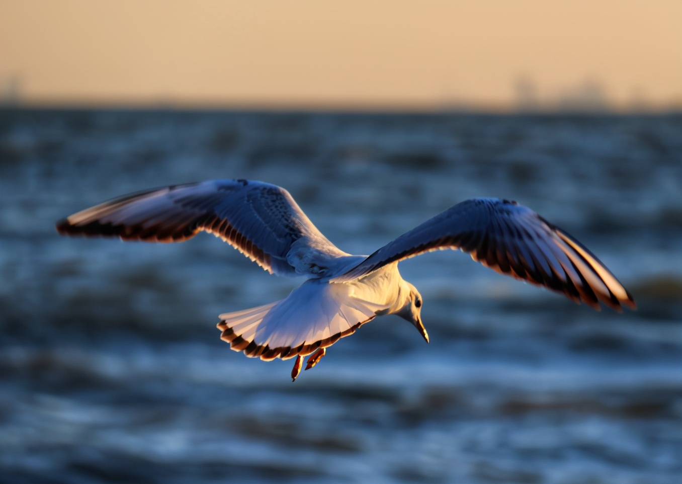 北戴河取景,北戴河适合摄影的地方