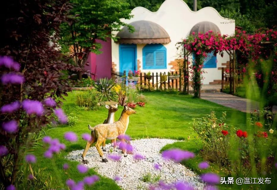 成都温江特色旅游,新旅游潮成都主题旅游目的地