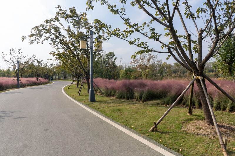 森林麋鹿公园,森林麋鹿