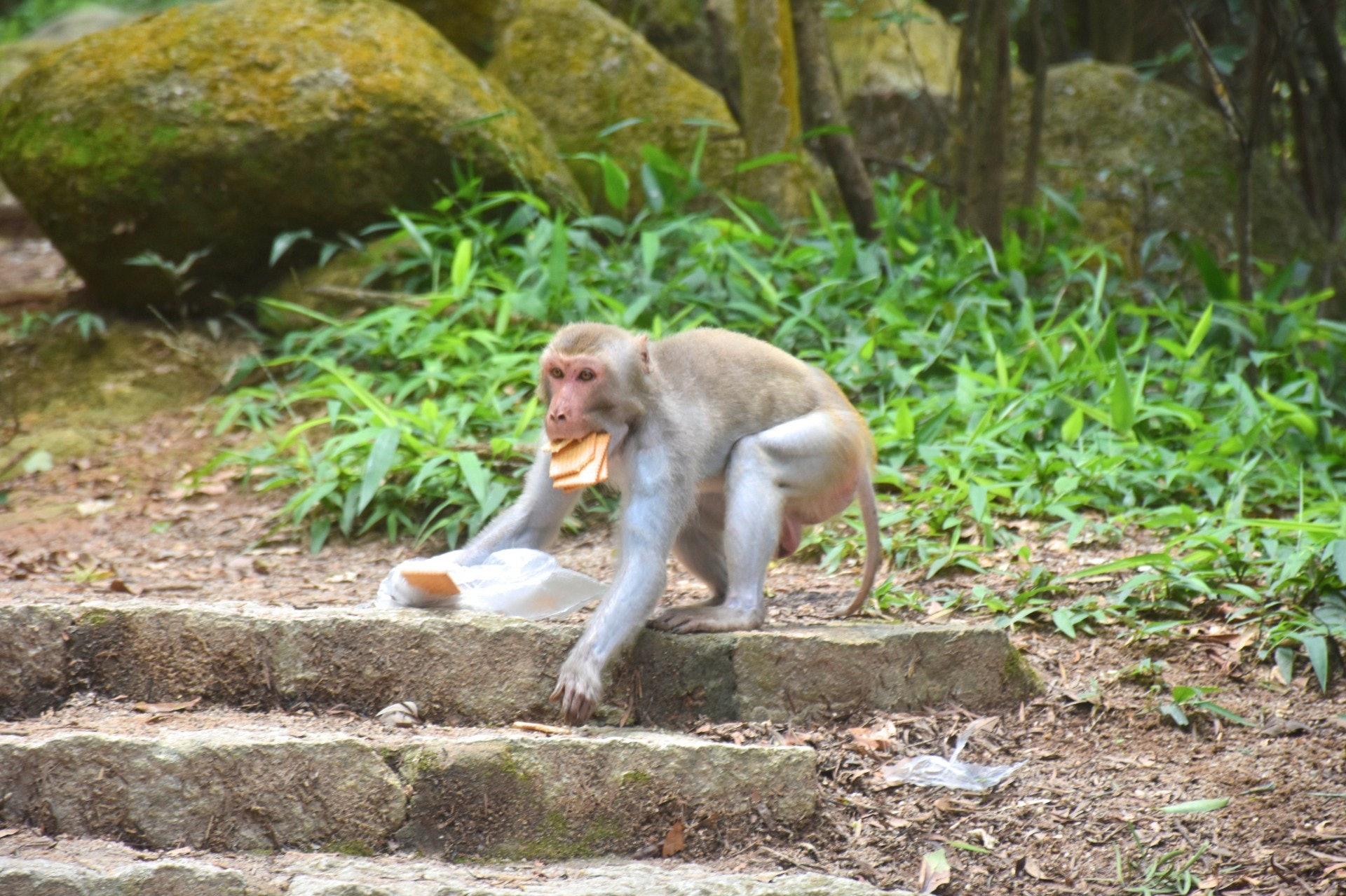 山林徒步注意事项,上山前的七大原则
