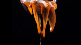 你吃过这家鱼火锅没,一口就上瘾的鱼火锅