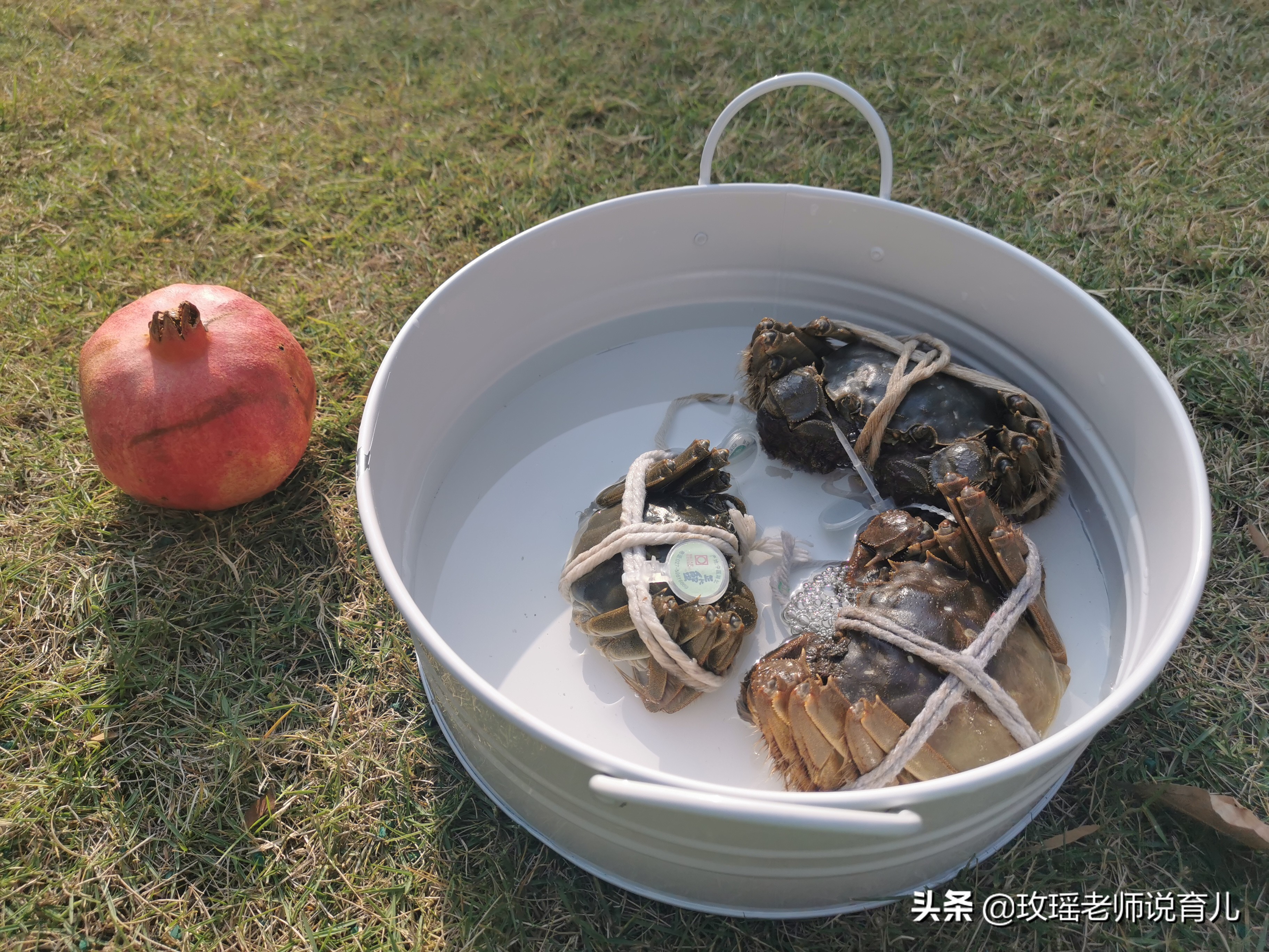 幼儿园选蒙台梭利好还是同龄班好,蒙特梭利幼儿园对孩子有什么影响