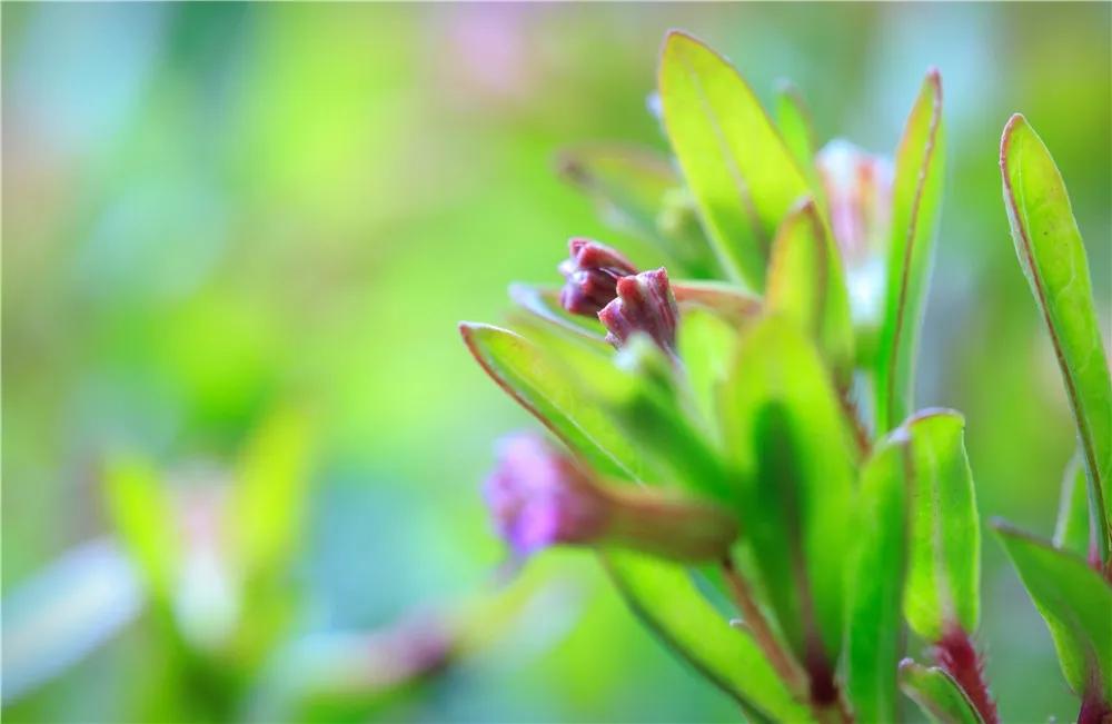 探秘!10000㎡打造世界烘焙商业新物种!!!(系列一)