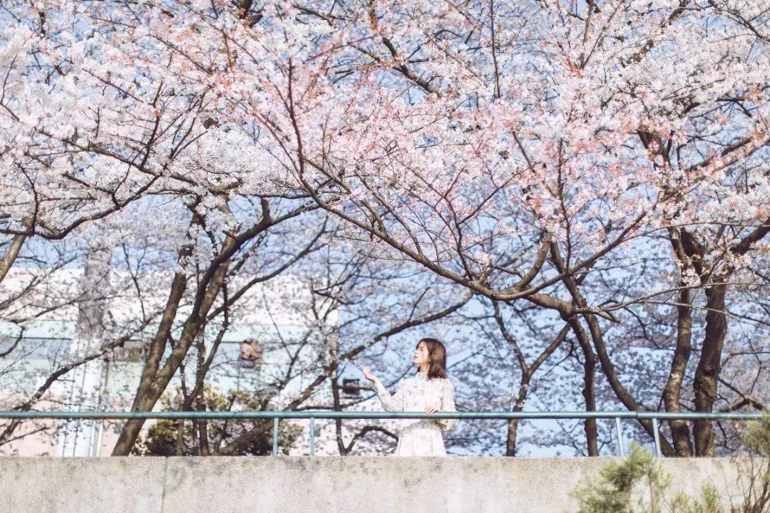 谈钱最能看清一个男人,曾仕强谈钱看清人性