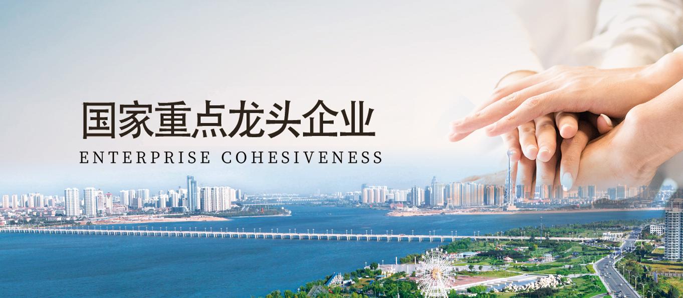 山东龙盛农牧集团有限公司龙君江,山东龙盛农牧集团贷款纠纷案件