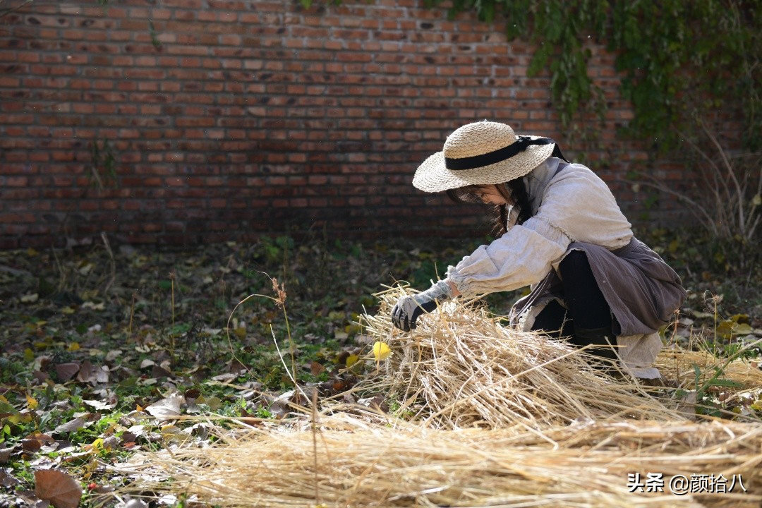 没有比利时花园游,来点比利时啤酒吧|随笔