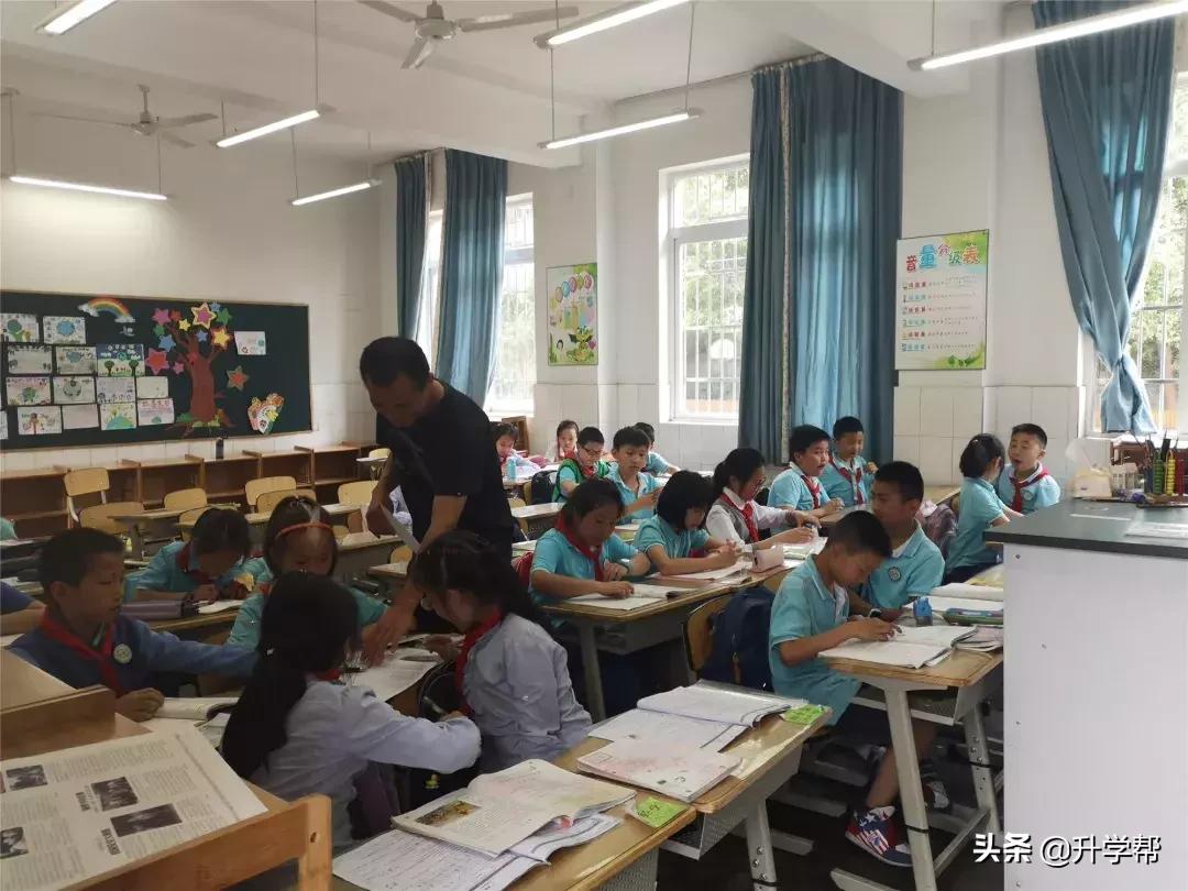 成都教育局小学生课后服务热点,成都市中小学课后托管