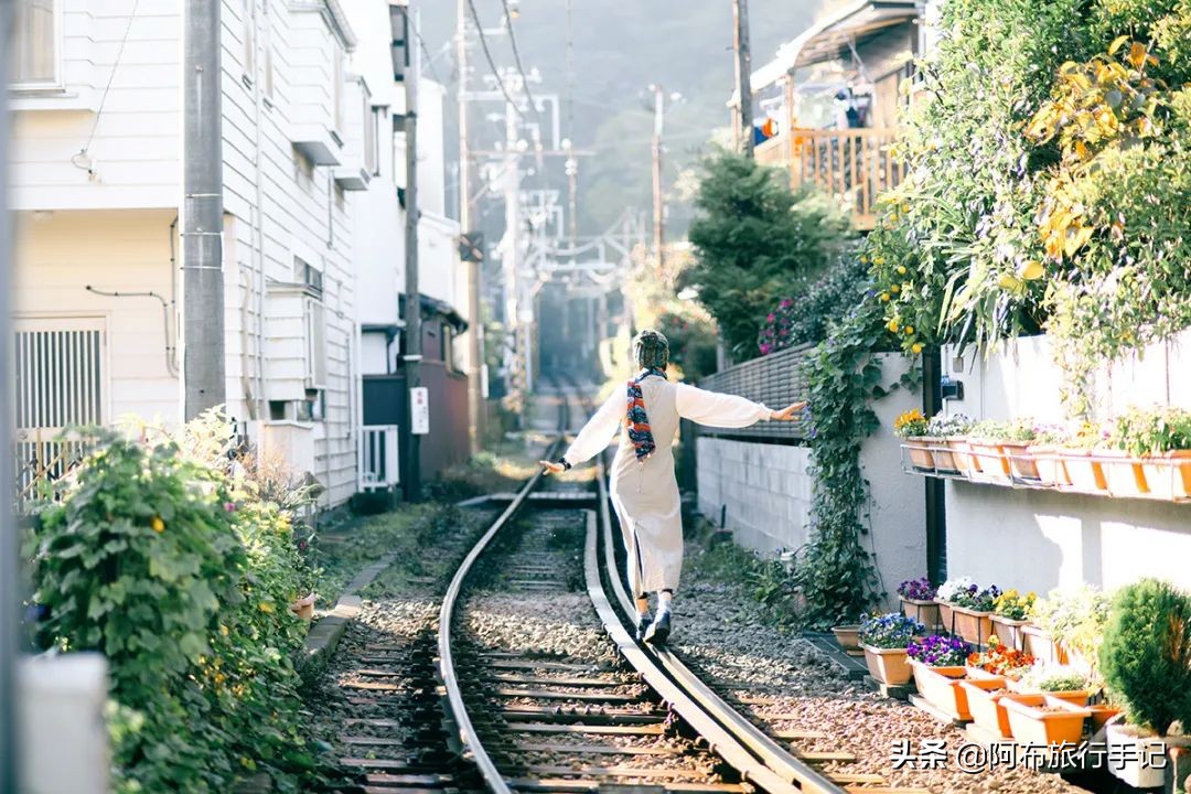 日本的世界遗产一览表,日本世界遗产共有多少项