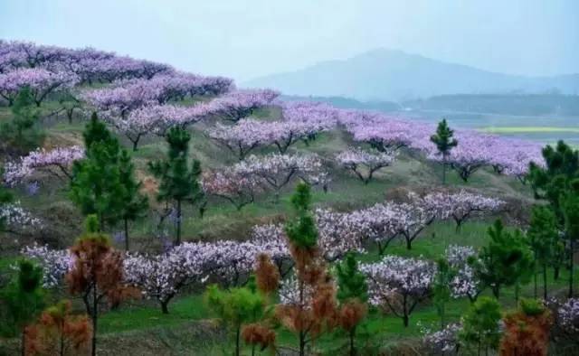 五一武汉市周边游,五一武汉周边短途旅游推荐