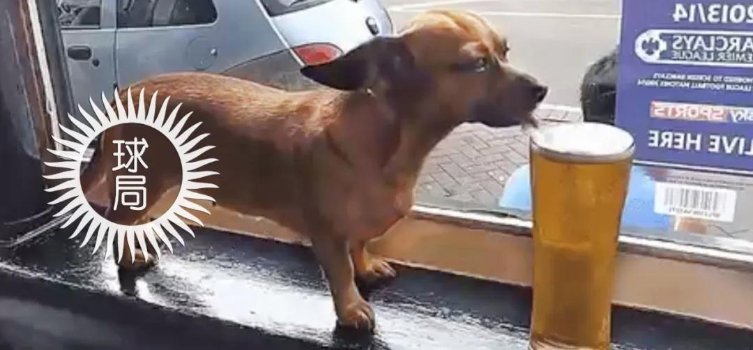 墨西哥饥荒现状,switch墨西哥饥荒