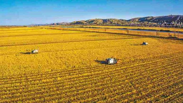 榆林农业产业园区地址位置,榆林国家现代农业科技示范园