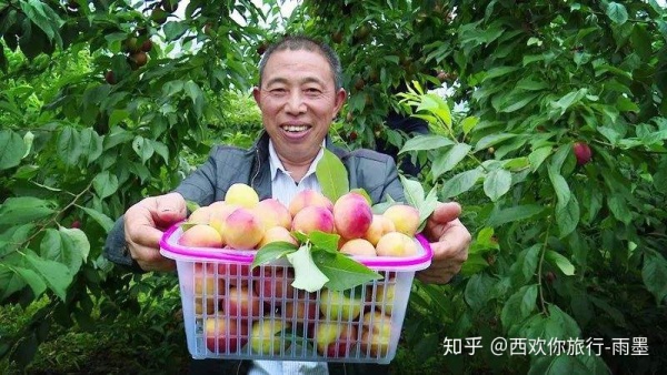 *疆新**瓜果攻略最好的季节配最美味的水果