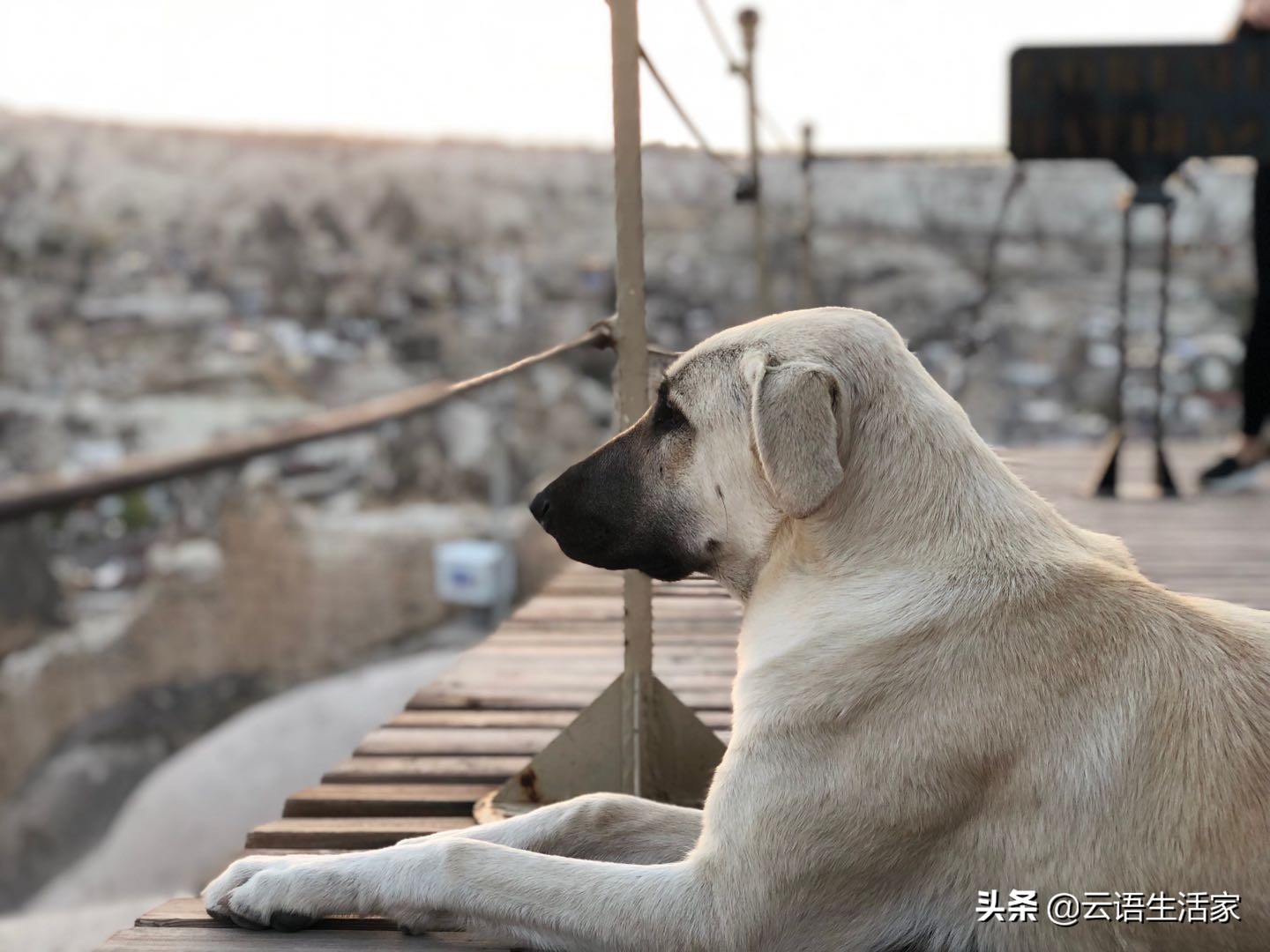 远走土耳其，我在星月之国上天入海（三）