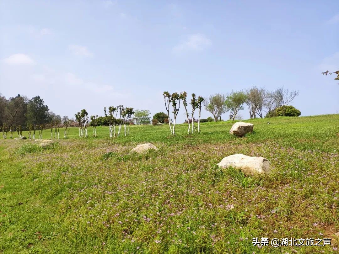 清明踏青，去悦兮半岛寻找春天的快乐