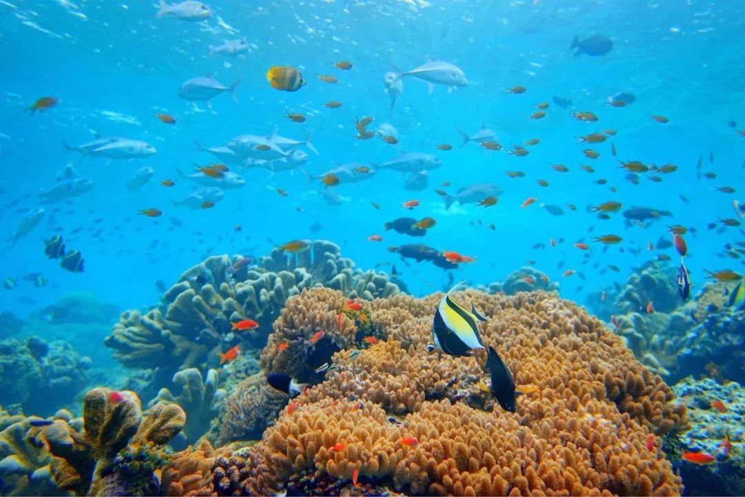 东南亚适合旅游的地方,东南亚旅游最值得推荐的地方