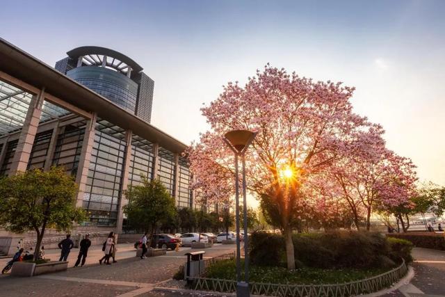 宅家又如何?翻开相册!浙大学子带你进行回忆式线上旅游!