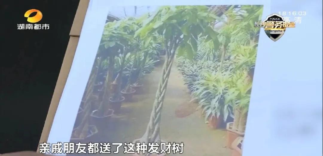 长沙单身女子落入“网恋”陷阱,被骗3万元!男子假意邀请“见家长”,谎称工厂开业诱赠花篮